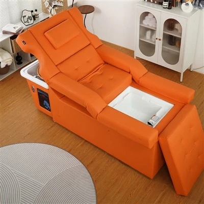 Luxury Leather Professional Backwash Unit
