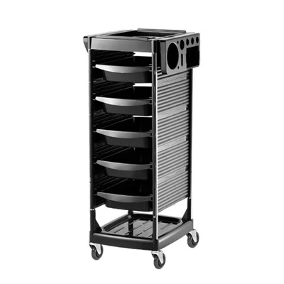 Modern All-Purpose Salon Rolling Trolley