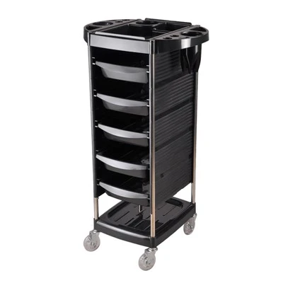 Modern Flexible Rolling Salon Organizer