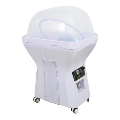 Modern Head SPA Water Circulation Basin