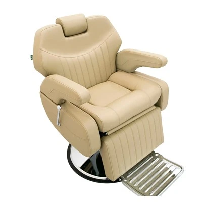 Modern Heavy Duty Professional Barber Chair