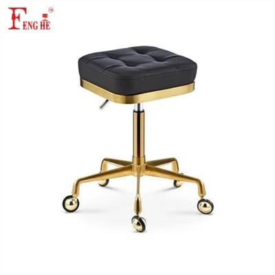 Salon Stool Chair