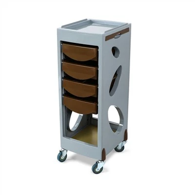Sleek Design Mobile Hair Station